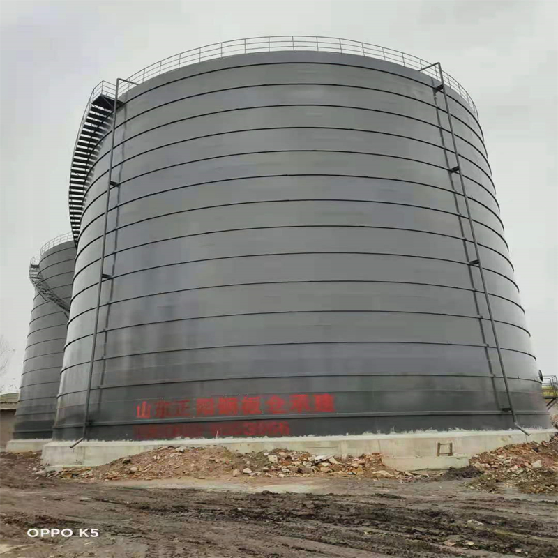 通化3万吨大型钢板库